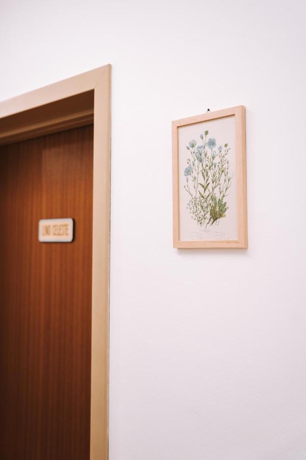 Casa Camilla Bed & Breakfast San Michele all'Adige Exterior photo